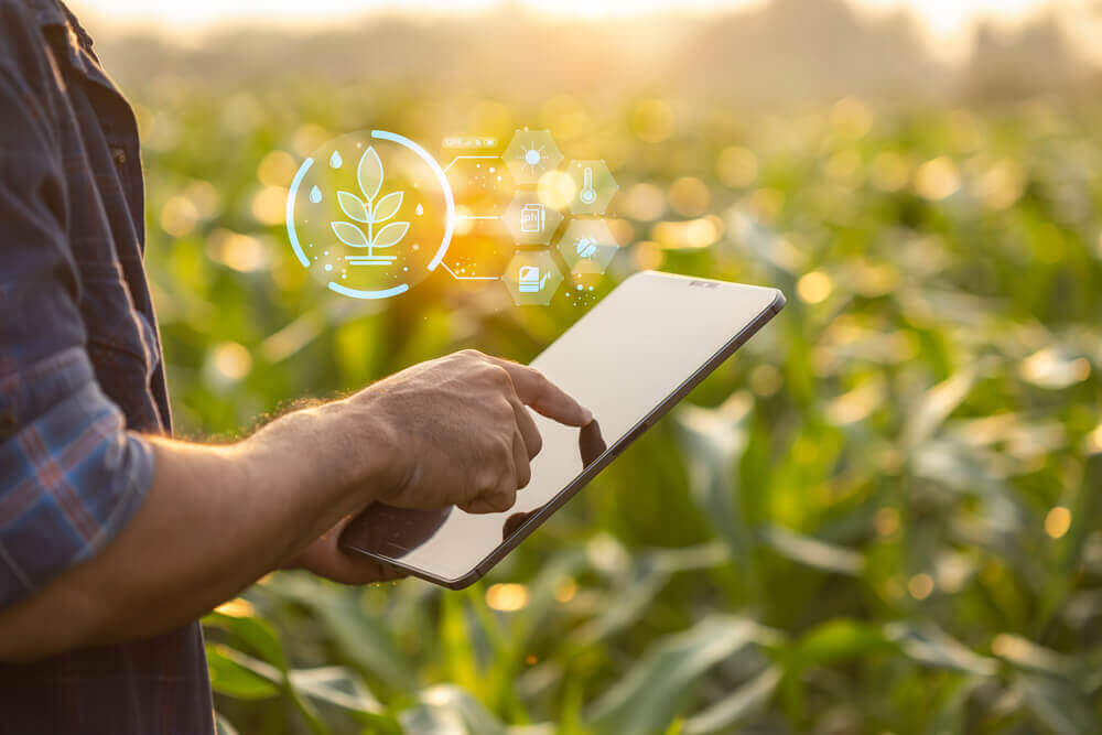 Rolnictwo precyzyjne i rolnictwo 4.0 – czas na cyfrową rewolucję