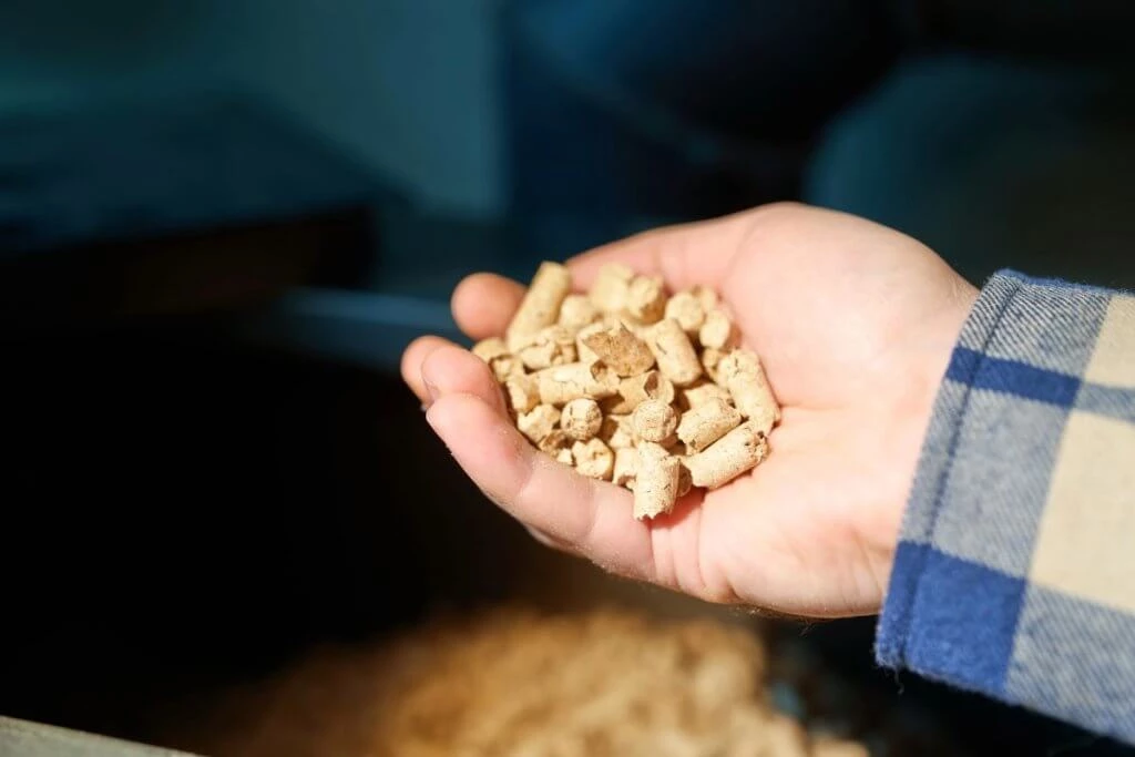Co to&nbsp;jest biomasa i&nbsp;czy nadaje się jako źródło energii dla&nbsp;firm?